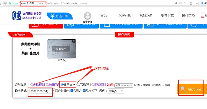 金鸣表格文字识别系统图片
